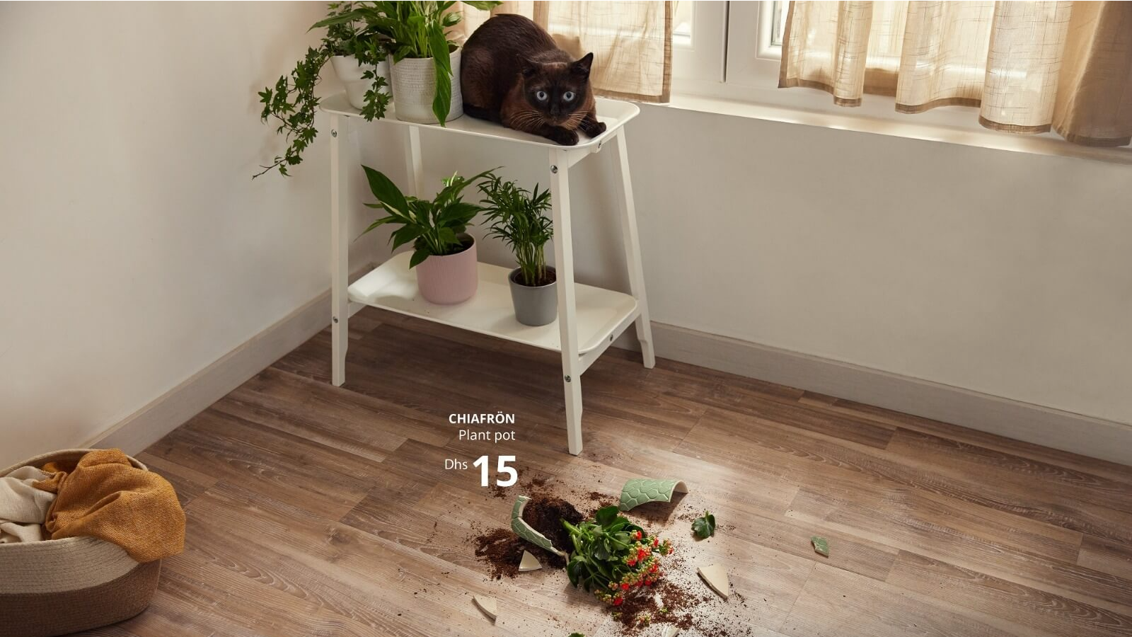 Ikea's Pet-Friendly Ad Campaign Offers Affordable Solutions